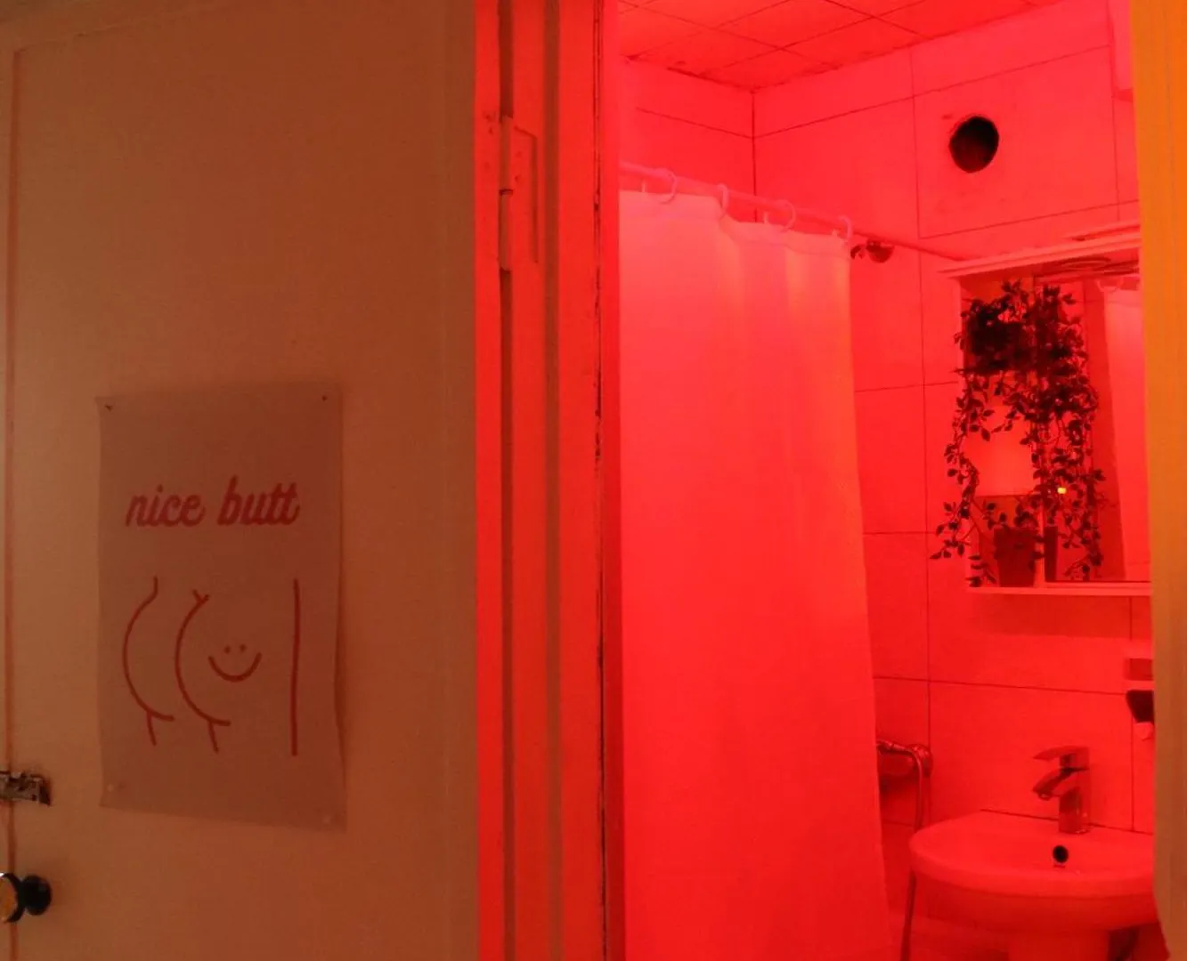 Cozy Apartment Tbilisi 0*,