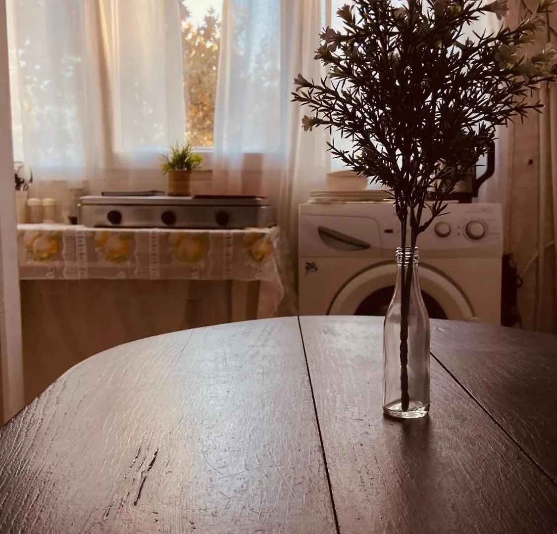 Cozy Apartment Tbilisi